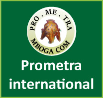 logo PROMETRA International