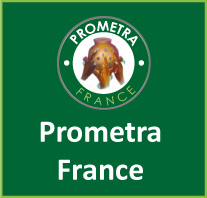 logo PROMETRA France