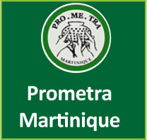 logo PROMETRA Martinique